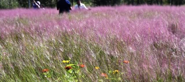 时评：“北京模式”让绿水青山变现生金