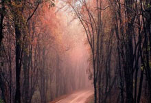 深耕线上(shàng)副(fù)业領(lǐng)域，以“自游赚”构建兼职服务新生(shēng)态